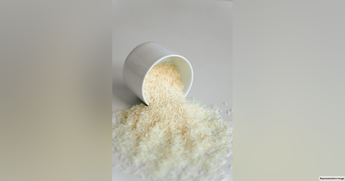 India permits 75,000 tonne non-basmati white rice exports to UAE